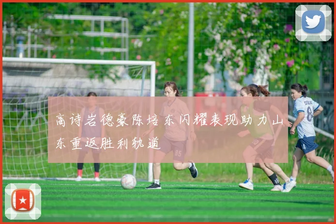 高诗岩德豪陈培东闪耀表现助力山东重返胜利轨道