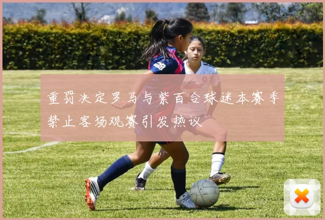 重罚决定罗马与紫百合球迷本赛季禁止客场观赛引发热议