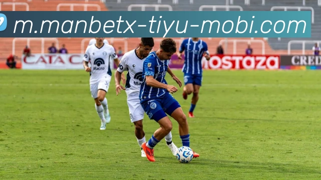 App Interface Preview