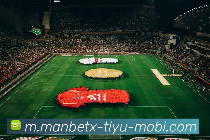 万博体育APP 封面图